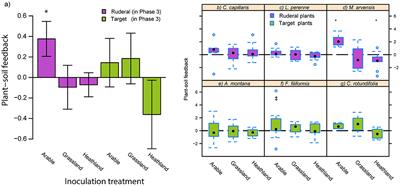 Soil Inoculation Steers Plant-Soil Feedback, Suppressing Ruderal Plant Species